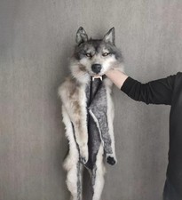 Fursuit Handmade Wolf Cloak