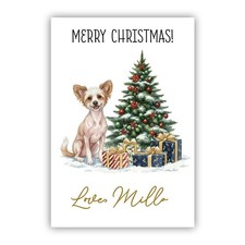 Personalised Chinese Crested