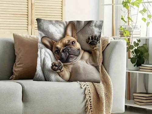 Adorable french bulldog - adorable,