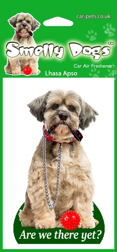 Lhasa apso dog lovers - dog,