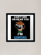 Can't See Or Hear You I'm