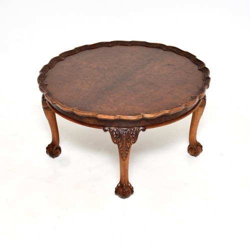 Antique burr walnut - walnut, pie