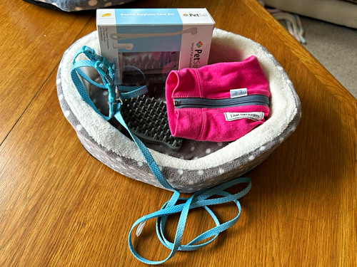 Kitten starter bundle - bundle,