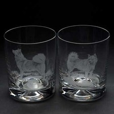Finnish Spitz Dog Whiskey
