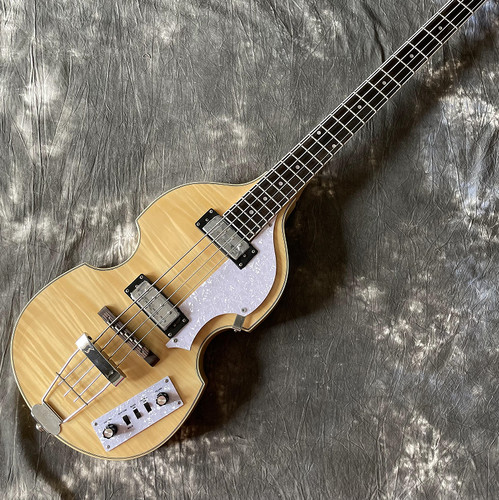 Strings bass guitar hollow - 4-strings,
