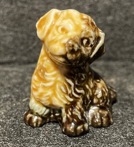Wade whimsie mongrel puppy - mongrel,