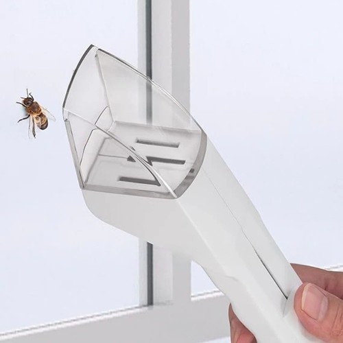 Humane spider catcher insect - spider,