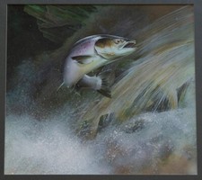 Chris Sharp – Salmon Leaping