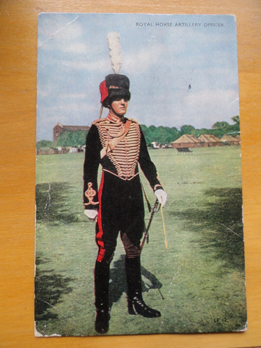 Vintage rppc royal - vintage, horse
