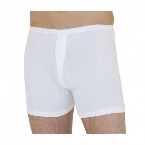 Mens pack thermal - mens, 2