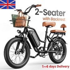 2-Seater Electric Bikes for