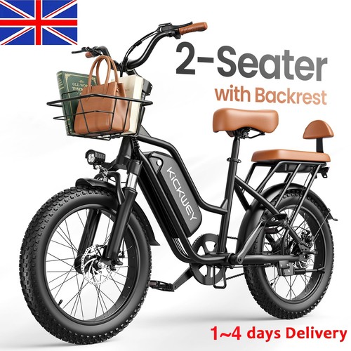 250w seater electric bikes - 250w, 2-seater
