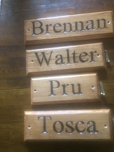 Personalised horse pony - /,