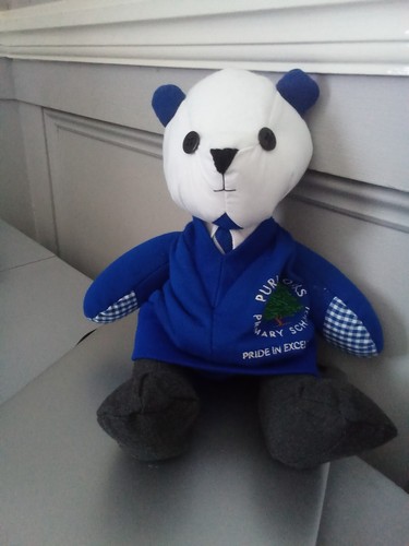 Memory bears and - memory, cushions