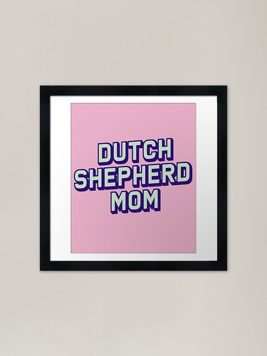 Dutch shepherd mom - shepherd, beach