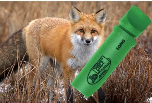 Fox call lohman - fox,