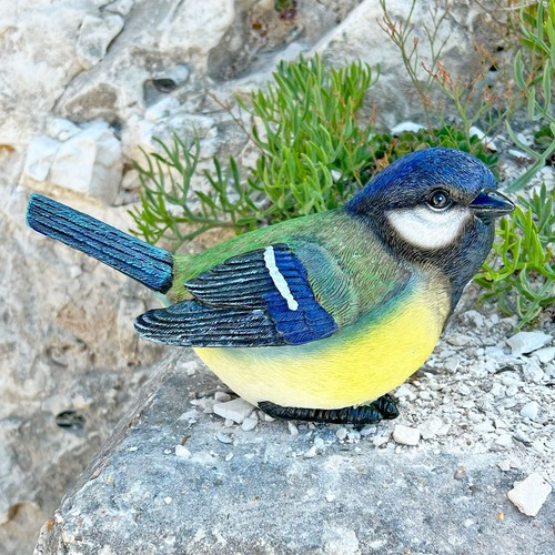Large blue tit garden bird - large,