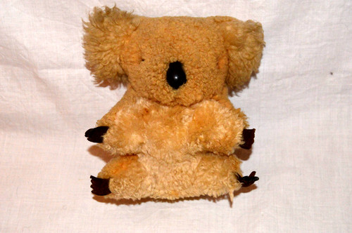 Vintage australian koala bear - vintage,