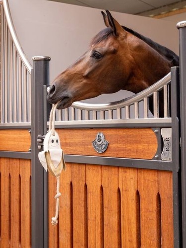 Lemieux horse toy - horse,