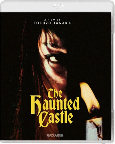 The haunted castle - haunted,