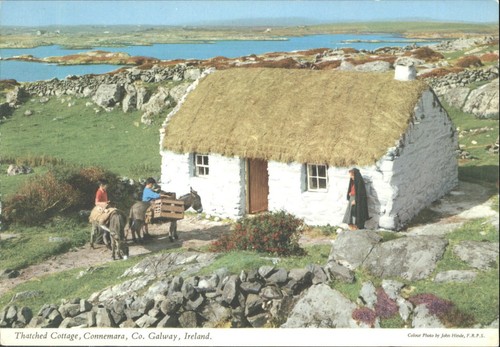Vintage john hinde - john,