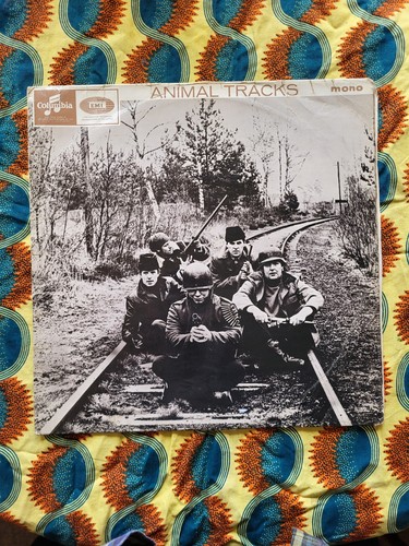 The animals animal tracks - animal,