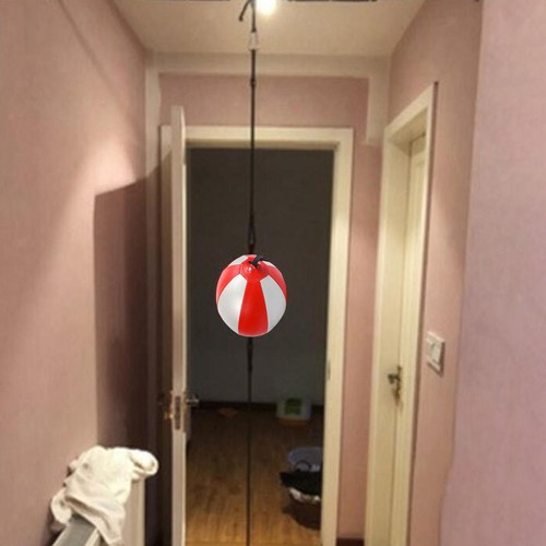 Boxing speed ball double - speed,