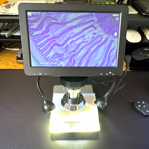 Dm9 7in digital - dm9, microscope