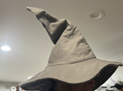 Adult gray wizard hat - gray,