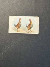 Fighting Cocks Cigarette Card (no 13)  Game Fowl