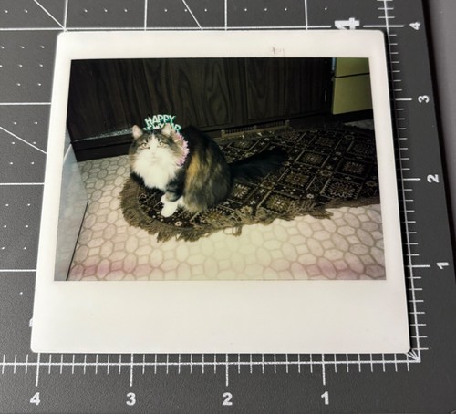 1990s happy new year cat - 1990s,