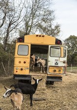 Photo rougemont north carolina - photo:rougemont,