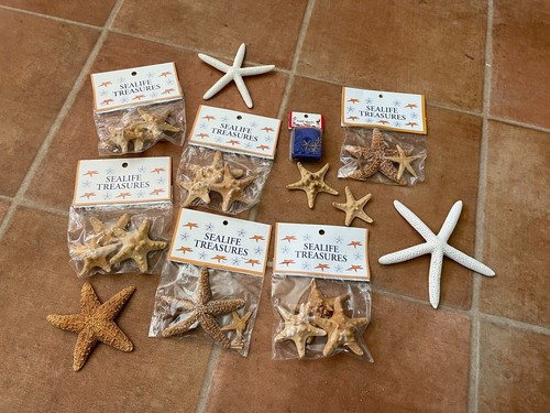 Lot starfish assortment - starfish,