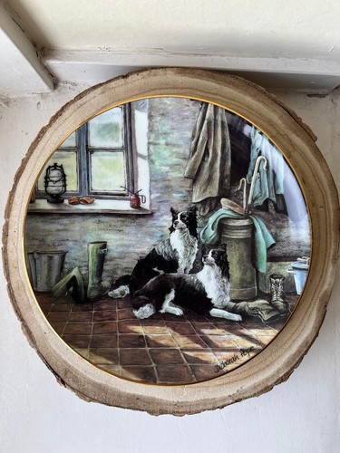 Border collie decorative - ,