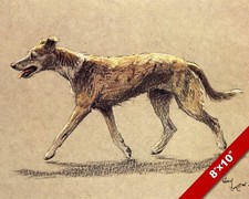 LURCHER PET PUPPY DOG ANIMAL
