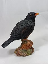 Vivid Arts Blackbird Ornament
