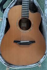 DERMOT MCILROY AS25c ACOUSTIC