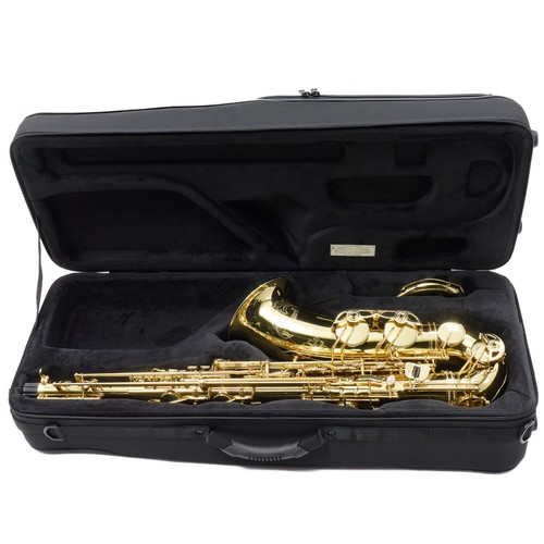 Selmer model sts711 - model,