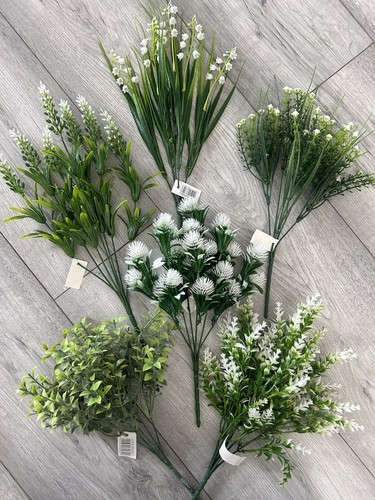 Mixed foliage bushes joblot - bushes,