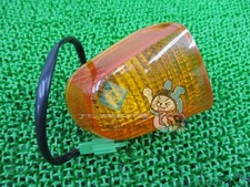 Left rear turn signal for