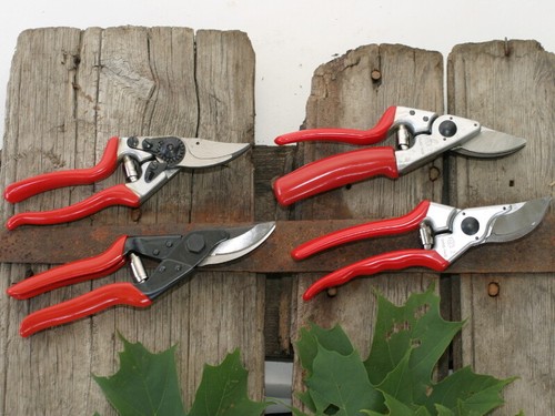 Felco secateurs - secateurs,