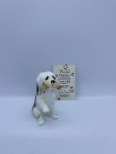 playful puppies give a dog a