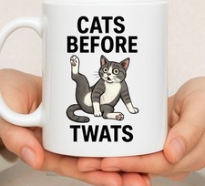 Funny Rude Cat Mug | Novelty