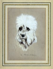 DANDIE DINMONT TERRIER Original Watercolour Painting Scottish Artist Susan Berry