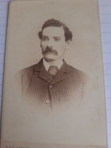 Cdv man moustache cravat tie - cdv,