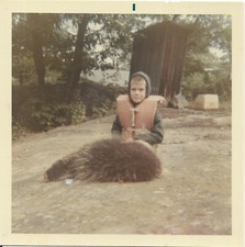 color photo boy wears life
