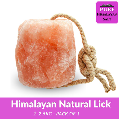 Himalayan salt lick - himalayan,