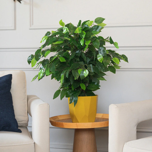 Artificial weeping fig - ficus,