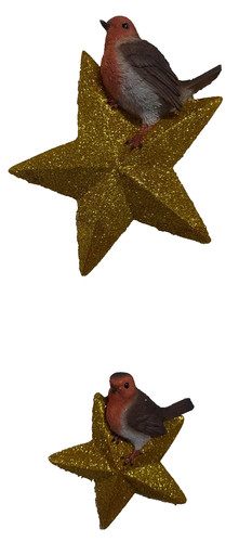 Robin with star large - with,