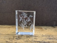 Stuart crystal fuschia book